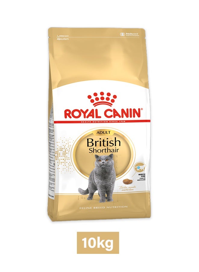 ROYAL CANIN طعام قطط البريطانى شورت هير البالغ - 10 كجم - Image 1
