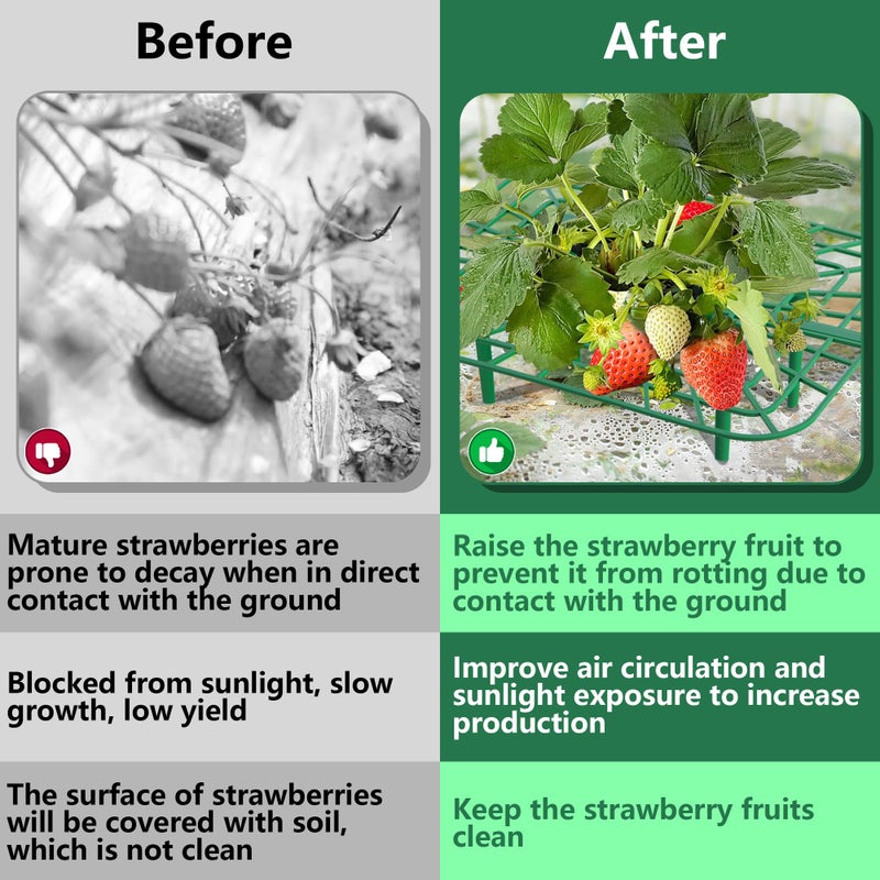 Iceyyyy 12 Packs Square Strawberry Supports-Strawberry Growing Racks- Plant Support Strawberry Stand Holder Growing Frame Keep Berries Clean (Square 12PCS) - Image 5