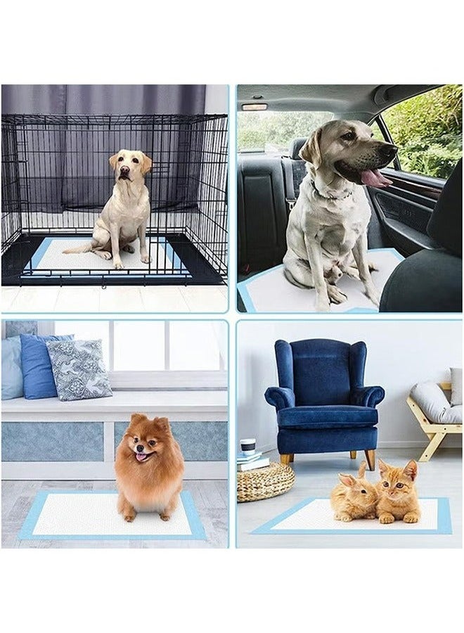 رولستيمي 40 قطعة جرو التدريب وسادة حفاضات الوسادة للشباب الحيوانات الأليفة الكلاب والقطط للتبول حفاضات مع امتصاص الثقيلة 60 * 60 سنتيمتر - Image 3