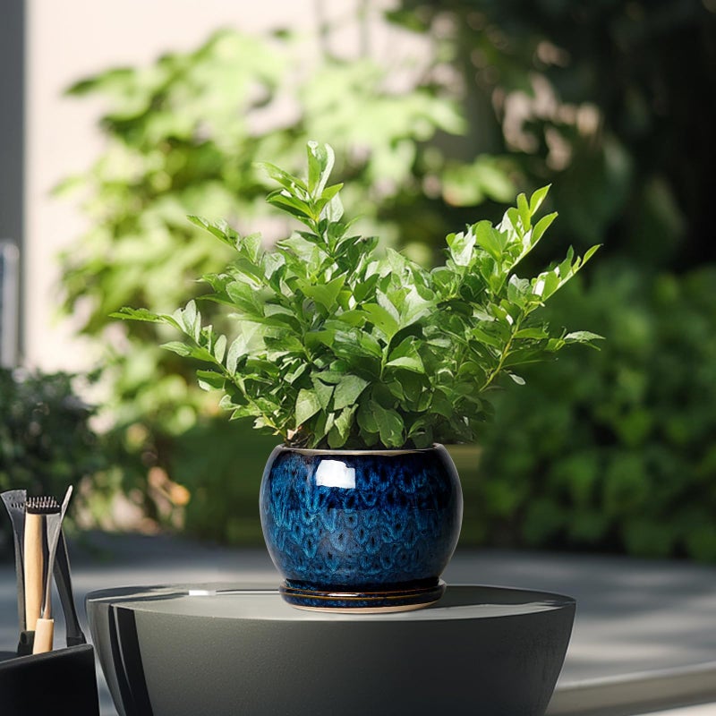 SQOWL 6 Inch Plant Pot - Ceramic Planter Pot with Drainage Hole and Saucer, Succulent Pot Round Flower Pot for Indoor Plants Outdoor, Blue - Image 4