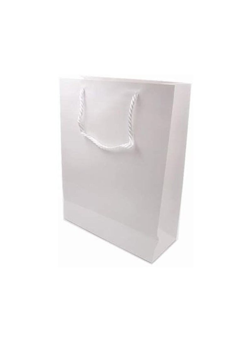 Promass 12 Pieces Paper Bag, Gift Paper Bag, White Paper Bag