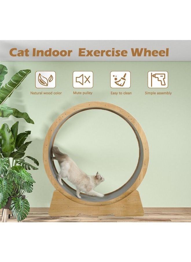 Neostyle Cat Exercise Wheel Large Pet Silent Treadmill with Carpeted Runway - pzsku/Z26B1C9554E4F8A73EECFZ/45/_/1663850092/1efec0b0-4cbb-43a8-a87d-c37c4e941fc4