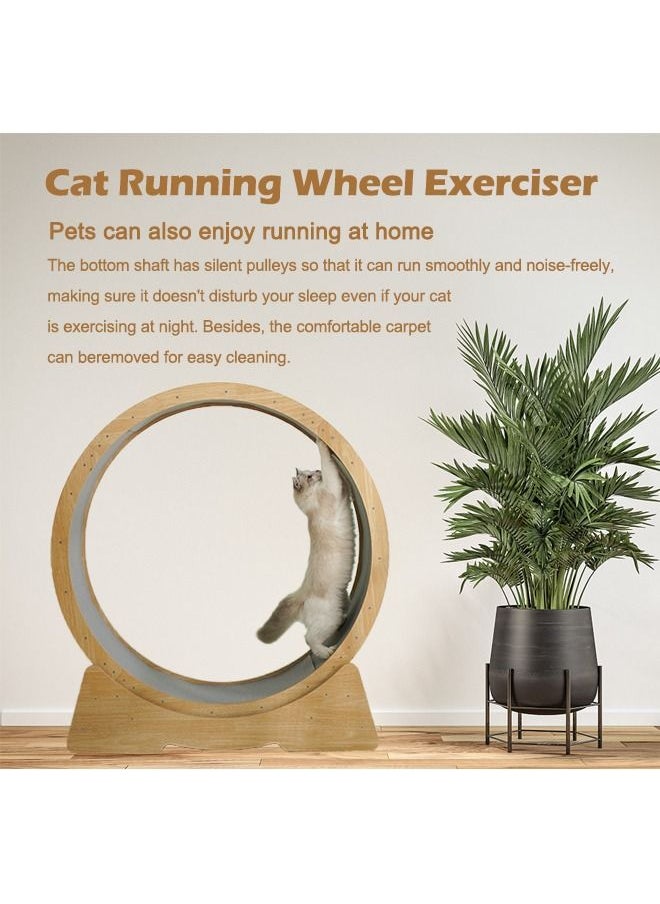 Neostyle Cat Exercise Wheel Large Pet Silent Treadmill with Carpeted Runway - pzsku/Z26B1C9554E4F8A73EECFZ/45/_/1663850092/caabd825-9f23-47ad-a131-dadac1f0c3a6