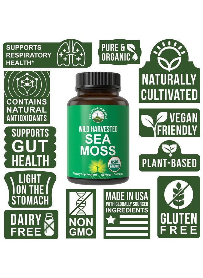 Peak Performance Organic Sea Moss Capsules. Wild Harvested Sea Moss Raw Organic Vegan Supplement from Red Algae Seaweed. 100% Whole Extract Raw Irish SeaMoss Superfood Pills. for Gut, Respiratory, Immune Support.  - Image 3