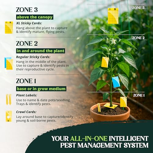 Catchmaster GRO Yellow Large Double Sided Sticky Traps 50PK Adhesive Bug Fruit Fly Trap Pest Control for Home Farm Garden Hydroponics Greenhouse Protect Live Plants Indoor Outdoor - Image 3