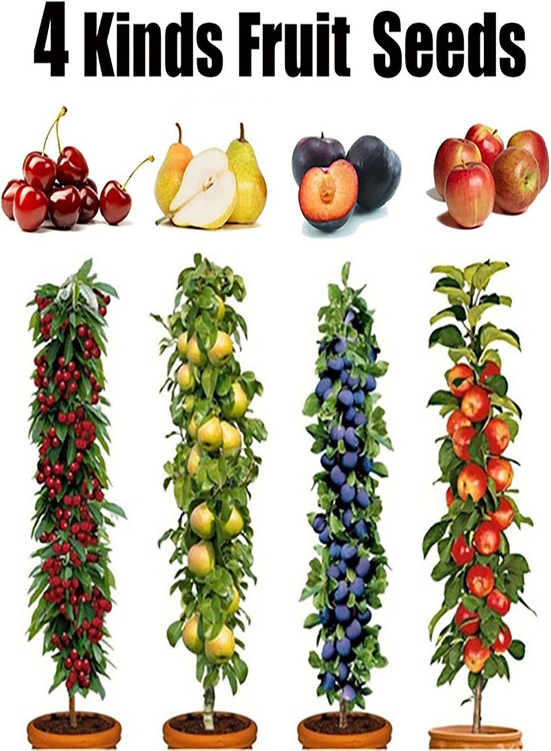 جي جوت 100 قطعة/حقيبة من بذور الفاكهة المختلطة، أشجار ونباتات لذيذة، بذور نباتات الكرز والكمثرى والتفاح والبرقوق السنوية للزراعة في الحديقة والفناء الخارجي، 1 بذور فاكهة - Image 5
