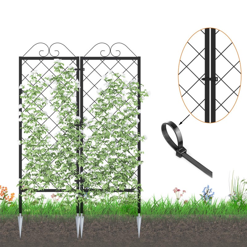 Zhongma 2 Pack Metal Garden Trellises for Climbing Plants, 53.5 Inch Tall Metal Fence Plant Support Trellis for Flower and Vagetable - Image 2