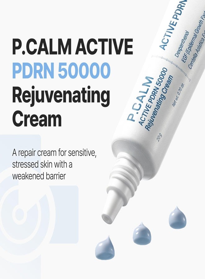 P.CALM Active PDRN 50000 Rejuvenating Cream | Hydrating Moisturizer with Niacinamide & Panthenol for Skin Renewal, Reduced Downtime Look & Plump Glow | Korean Skincare, 20g / 0.7 oz - Image 2