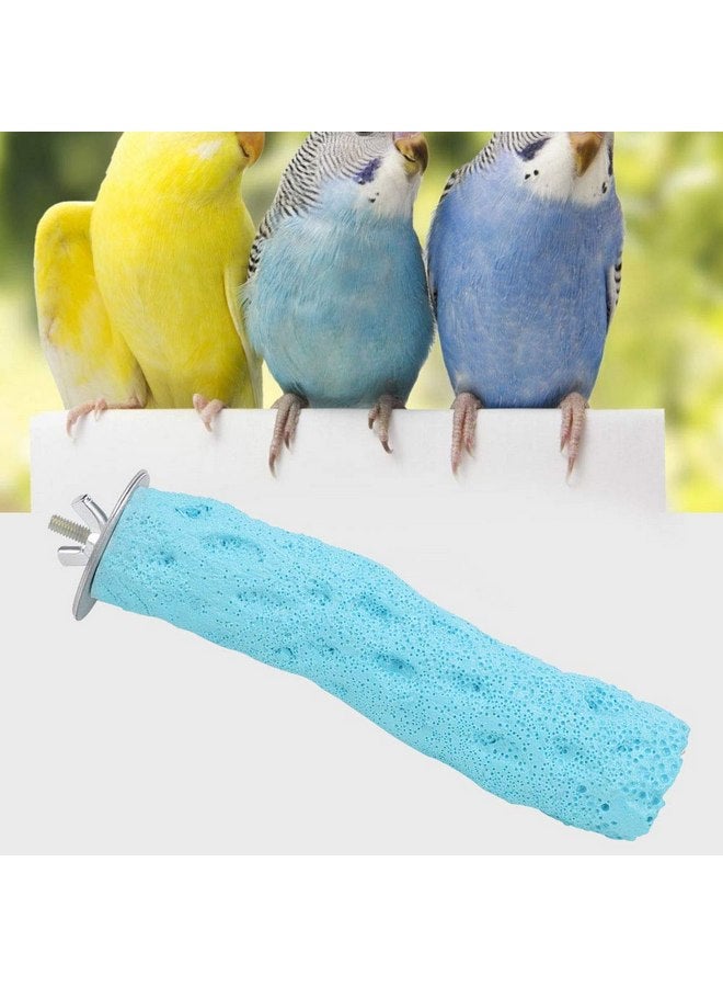 توبنكن لعبة حامل الببغاء المصنوع من المعدن على شكل قفص طيور، لعبة طحن ومضغ للطيور الأليفة والببغاء والشنشيلة (S-Blue) - Image 4