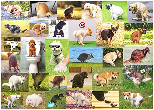 Better Me Pooping Dogs 1000Piece Puzzle for Adults Funny Pooping Puppy Gag Jigsaw Puzzle for Dog Lovers Puppy Owners Great Prank Gift 1000 Pieces - Image 1