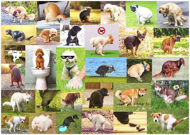 Better Me Pooping Dogs 1000Piece Puzzle for Adults Funny Pooping Puppy Gag Jigsaw Puzzle for Dog Lovers Puppy Owners Great Prank Gift 1000 Pieces - Image 2