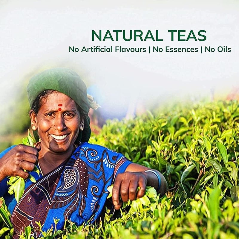 TEACURRY شاي تيكاري للتخسيس (15 كيس) - يساعد في الوزن، البطن، الشيخوخة - شاي أخضر لإدارة الوزن - مكونات طبيعية بالكامل - Image 3