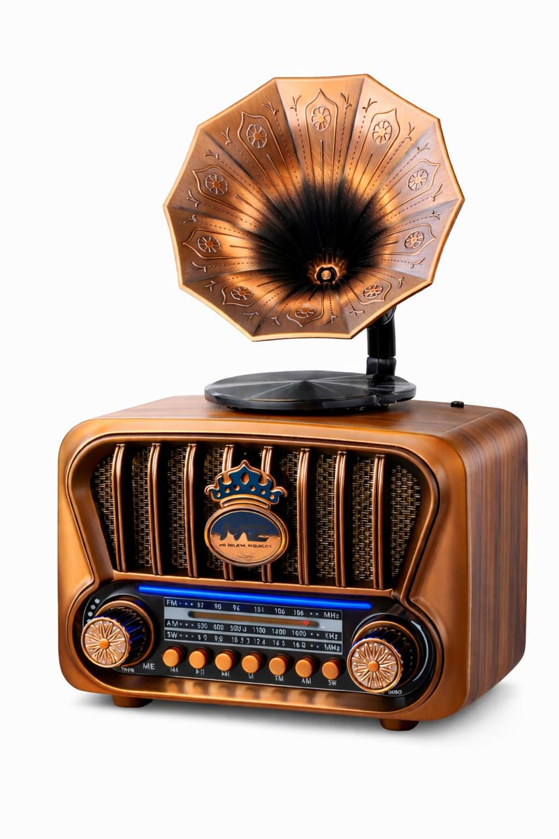 Fire Turtle Vintage-Style FM Radio with Bluetooth Speaker | Portable Retro Music Player with Type-C Charging USB, SD Card, Headphone Jack & Frequency Knob – Brown - Image 1