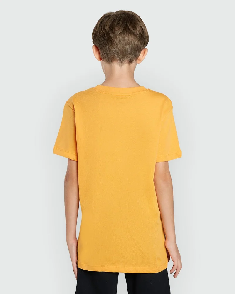 Ovs  Iceland Poppy Orange Boys' Tee From OVS for Men | Best Price UAE
