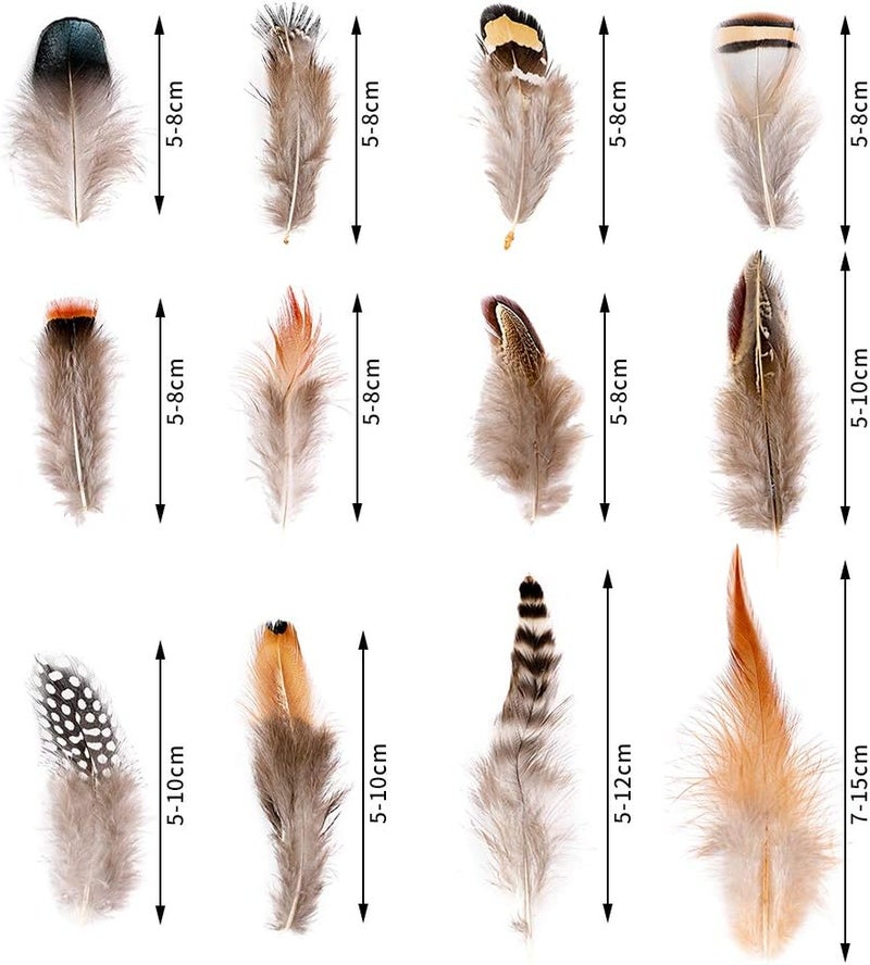 Ballinger 240pcs 12 Styled Natural Feathers Assorted Mixed Feathers for Jewelry and Dream Catcher Crafts Decoration - Image 4