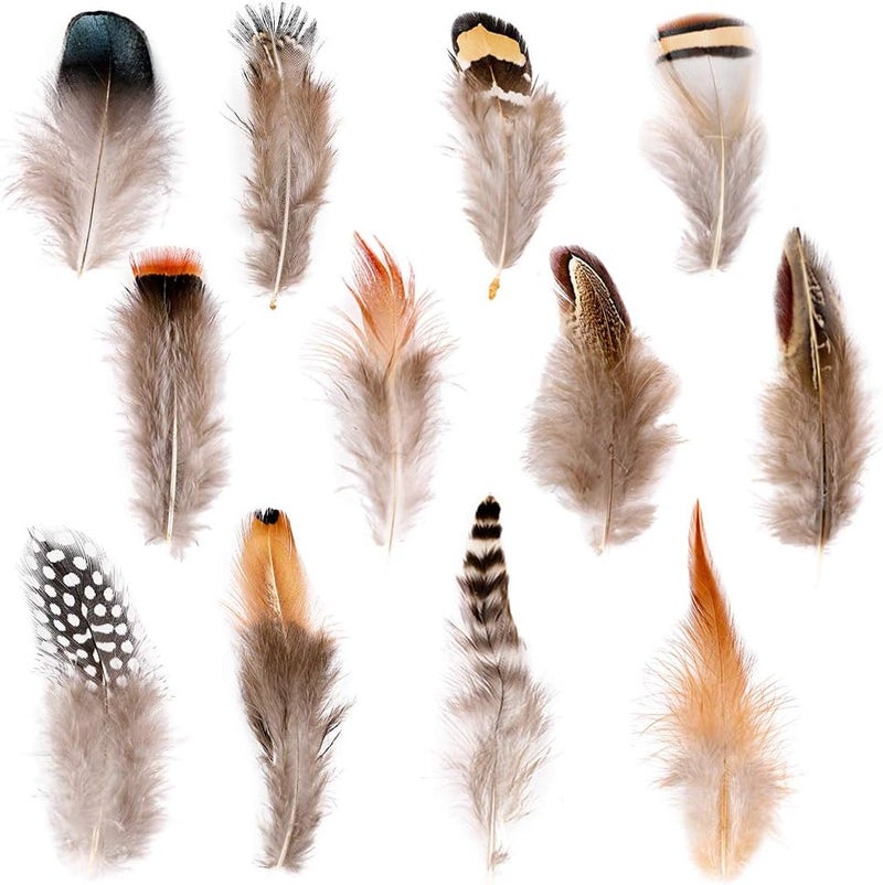 Ballinger 240pcs 12 Styled Natural Feathers Assorted Mixed Feathers for Jewelry and Dream Catcher Crafts Decoration - Image 1