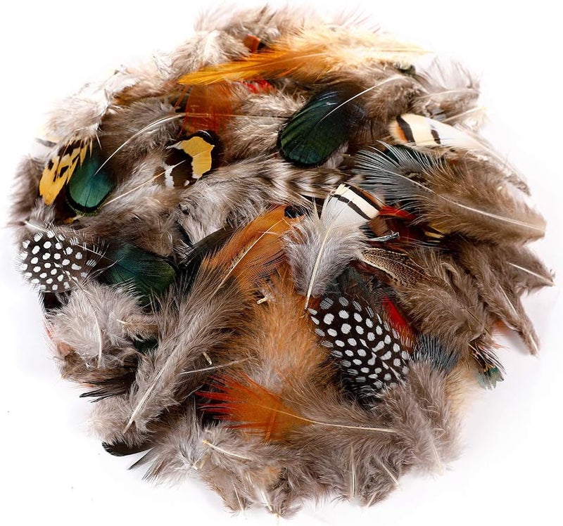 Ballinger 240pcs 12 Styled Natural Feathers Assorted Mixed Feathers for Jewelry and Dream Catcher Crafts Decoration - Image 2