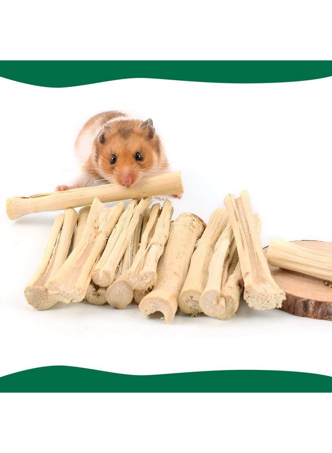 BWOGUE 100g Pet Snacks Sweet Bamboo Chew Toy for Squirrel Rabbits Guinea Pigs Chinchilla Hamster (About 10-14 Sticks) - Image 5