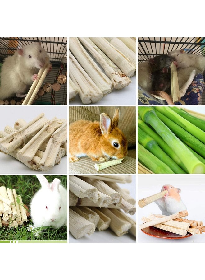 BWOGUE 100g Pet Snacks Sweet Bamboo Chew Toy for Squirrel Rabbits Guinea Pigs Chinchilla Hamster (About 10-14 Sticks) - Image 4