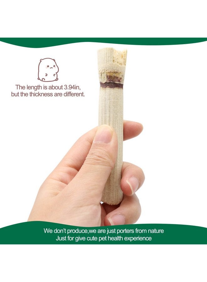 BWOGUE 100g Pet Snacks Sweet Bamboo Chew Toy for Squirrel Rabbits Guinea Pigs Chinchilla Hamster (About 10-14 Sticks) - Image 2