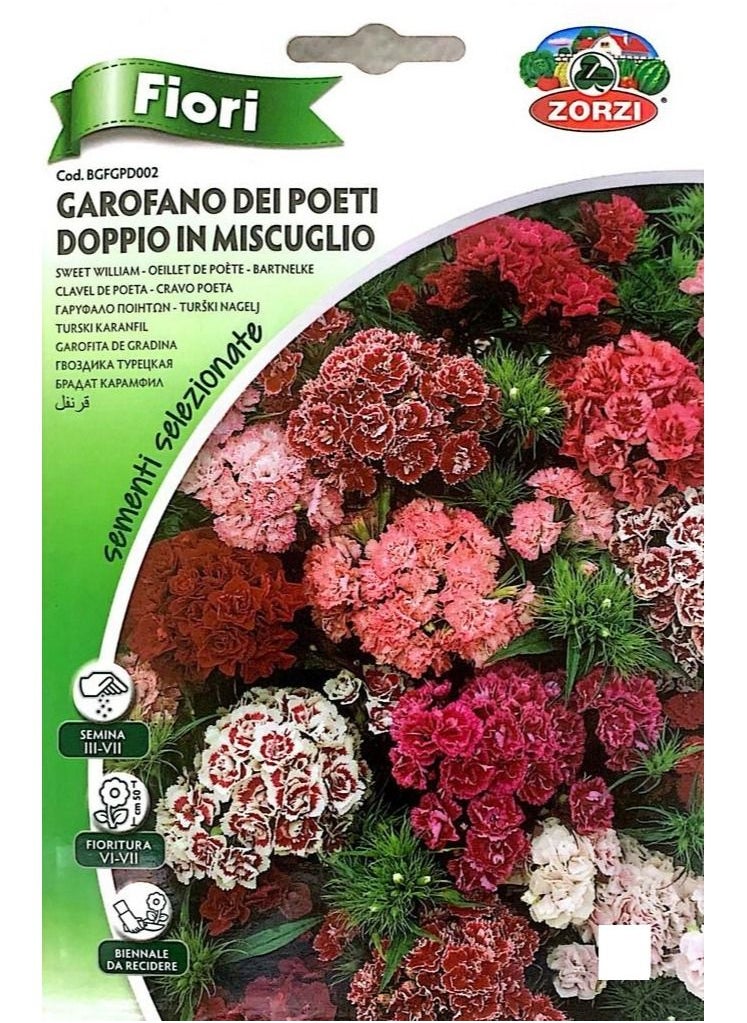 ZORZI - Clove Seeds - Image 1