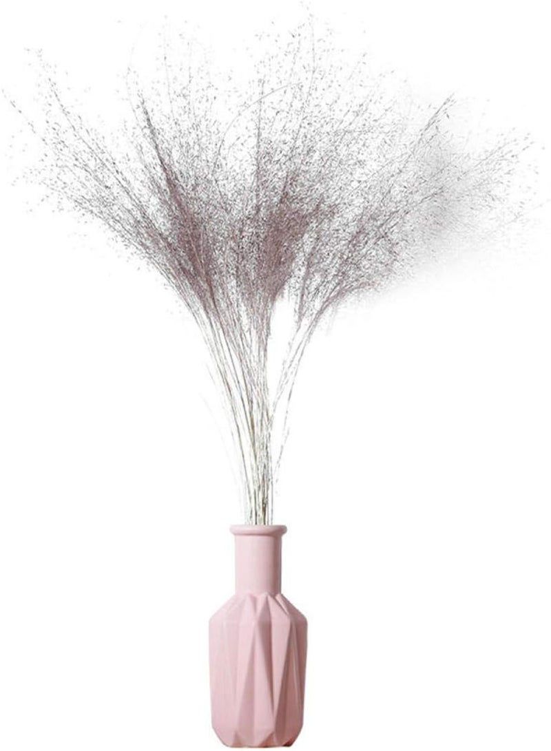 GGOOT Blooms Multicolor Seeds,Fandai Ranzi-excellent_50 grams,Ornamental Plants for Garden Balcony - Image 3