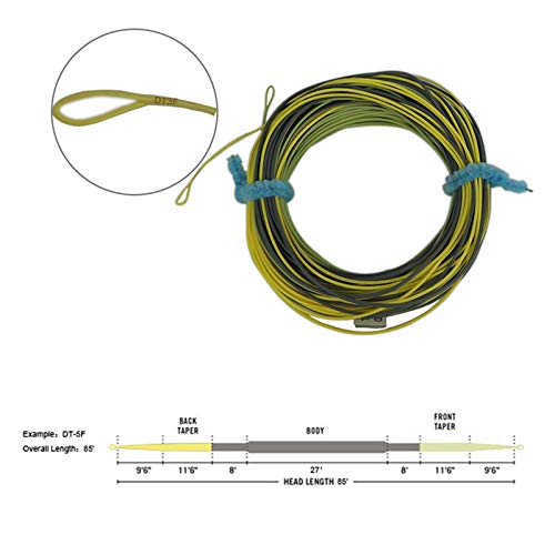 AventikTouch Double Taper Long Taped Delicate Presentation Fly Floating Line (DT6F) - Image 2