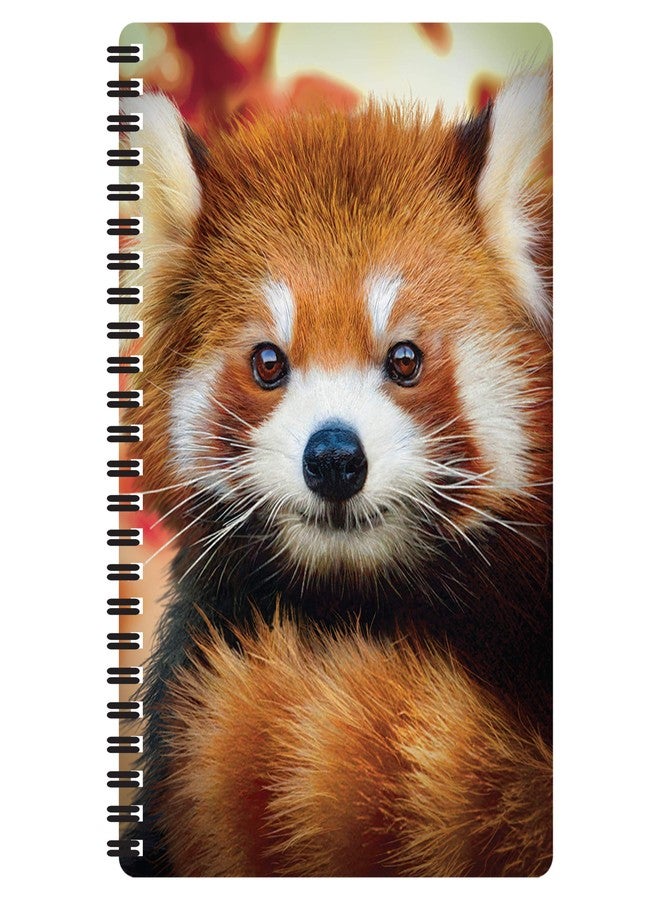 3D LiveLife Notebooks - Baby Red Panda from Deluxebase. Ruled 8.2" x 5.7" Medium Notepad. 80 Page Spiral Bound Notebook with Lenticular Red Panda Cover. Wild Animal Journal for Women and Men. - Image 1