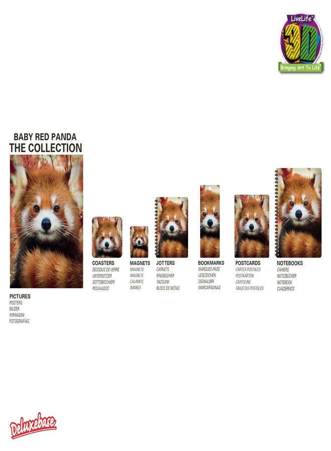 3D LiveLife Notebooks - Baby Red Panda from Deluxebase. Ruled 8.2" x 5.7" Medium Notepad. 80 Page Spiral Bound Notebook with Lenticular Red Panda Cover. Wild Animal Journal for Women and Men. - Image 3