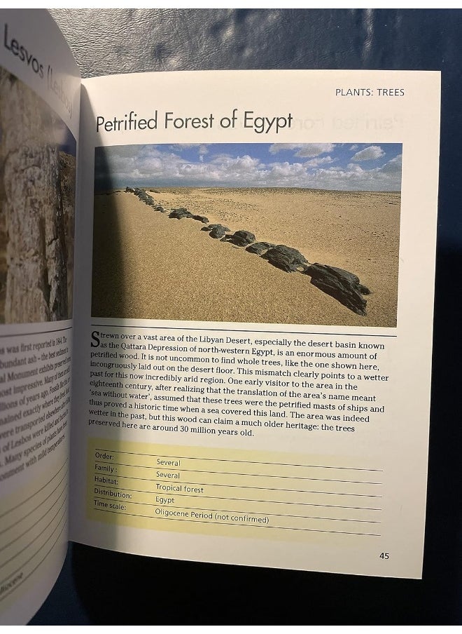 Fossils: 300 of the Earth's Fossilized Species  - Image 4