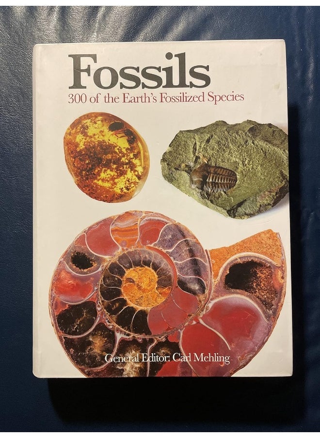 Fossils: 300 of the Earth's Fossilized Species  - Image 1