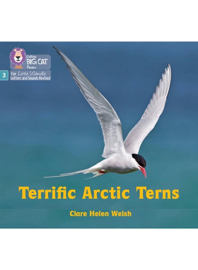 Terrific Arctic Terns : Phase 3 Set 2