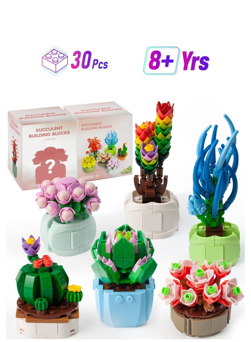 Excefore Succulents Bonsai Building Kit, Succulents Blind Box Series, Artificial Flower Botanical Collection, Plant Decor Building Set for Kids Adults Home Office, Random 2 Boxes  - Image 1