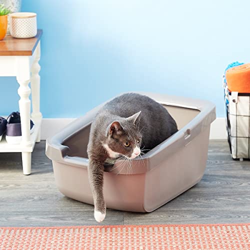 Catit Cat Litter Pan with Shield Rim – Large Open Litter Box With High Sides & Raised Back – Easy Clean, Mess-Free Design – Fits All Cat Litter Types – Gray, 22.2” x 16.3” x 11.3” - Image 2