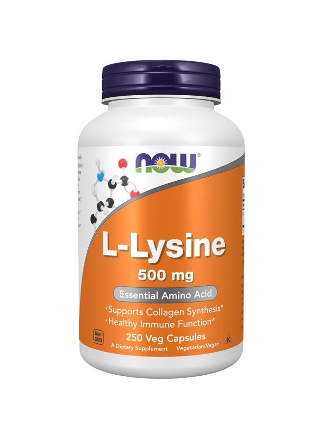 now Foods Lysine, 250 Caps, 500mg - Image 1