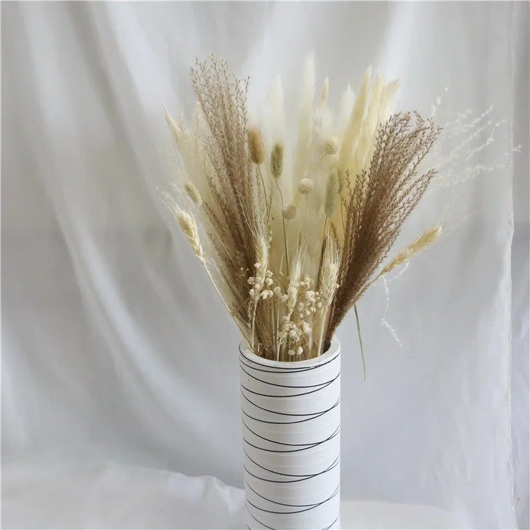Bluejw E07498 INS Hot Sale 15-60 PCS Natural Dried Pampas Grass Bouquet - White Brown Rabbit Tail Reeds Flower Bunch - Perfect for Home Decor, Dried Plants Arrangement - Image 1
