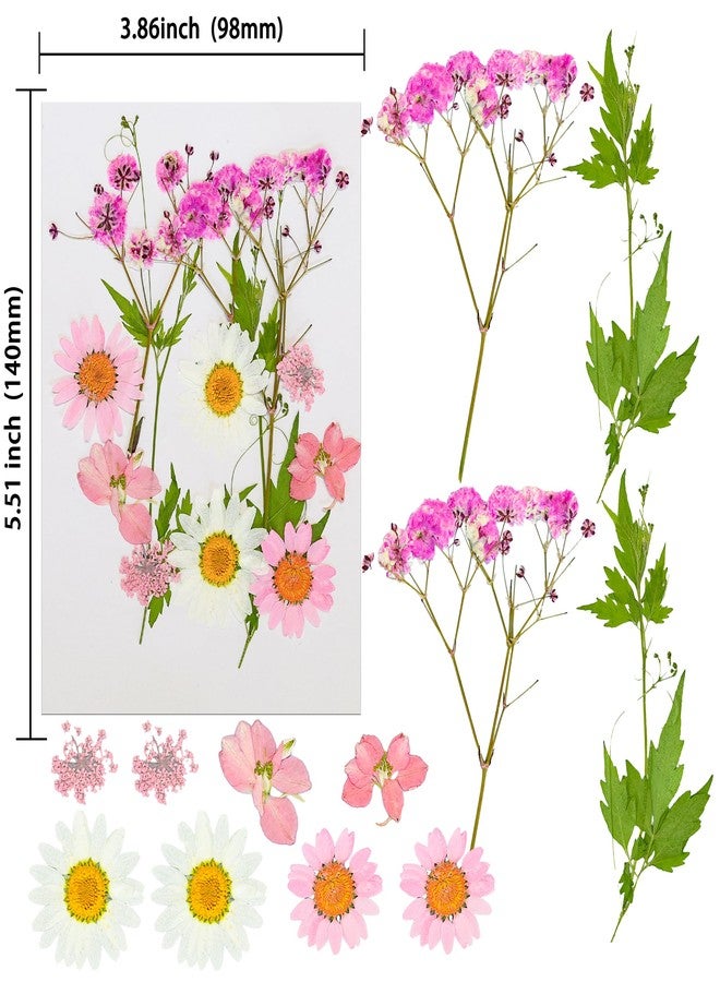 Ephlyn 24Pcs Wildflower Cake Toppers Daisy Decor Baby In Bloom Baby Shower Cake Toppers for Women Birthday Bridal Shower Wedding Party Decoration Pink - Image 2