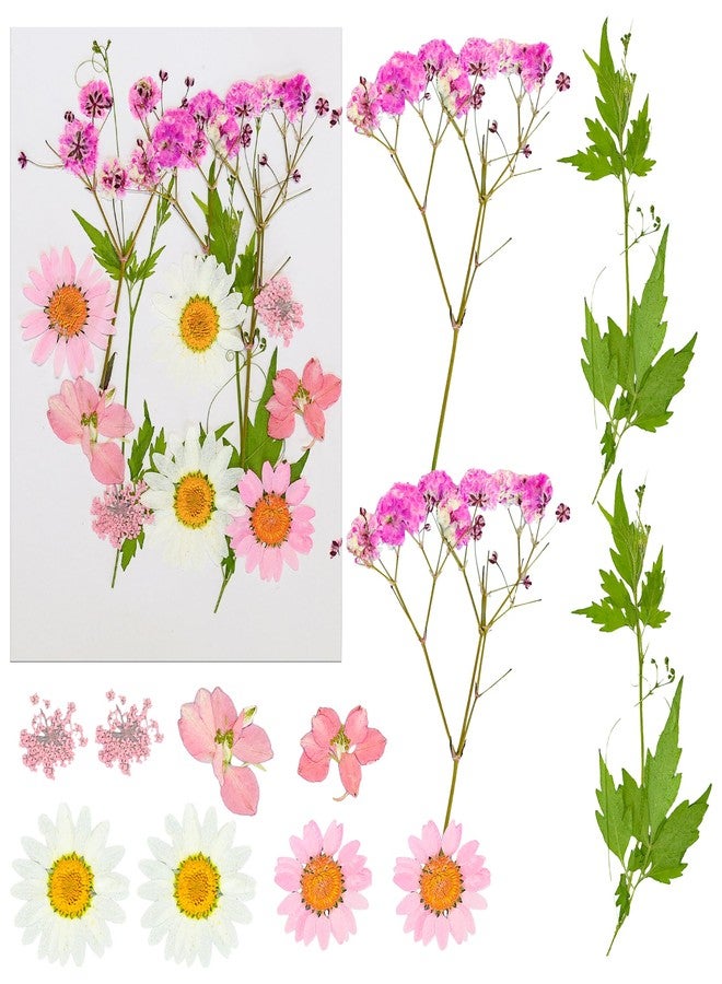 Ephlyn 24Pcs Wildflower Cake Toppers Daisy Decor Baby In Bloom Baby Shower Cake Toppers for Women Birthday Bridal Shower Wedding Party Decoration Pink - Image 3