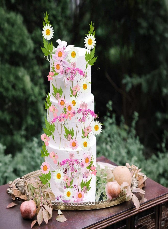 Ephlyn 24Pcs Wildflower Cake Toppers Daisy Decor Baby In Bloom Baby Shower Cake Toppers for Women Birthday Bridal Shower Wedding Party Decoration Pink - Image 4