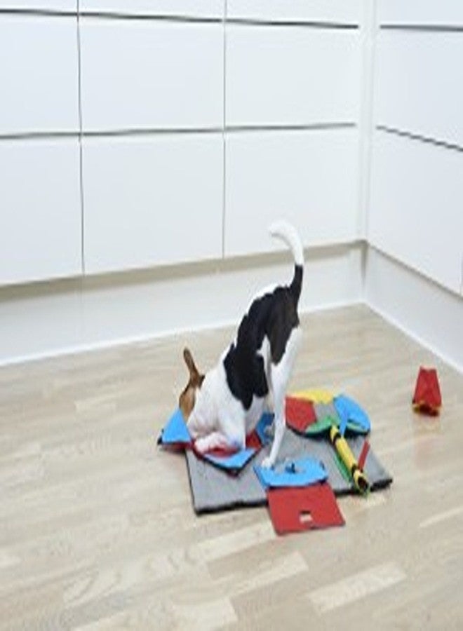 BUSTER ActivityMat، مجموعة بداية مع 3 أنشطة