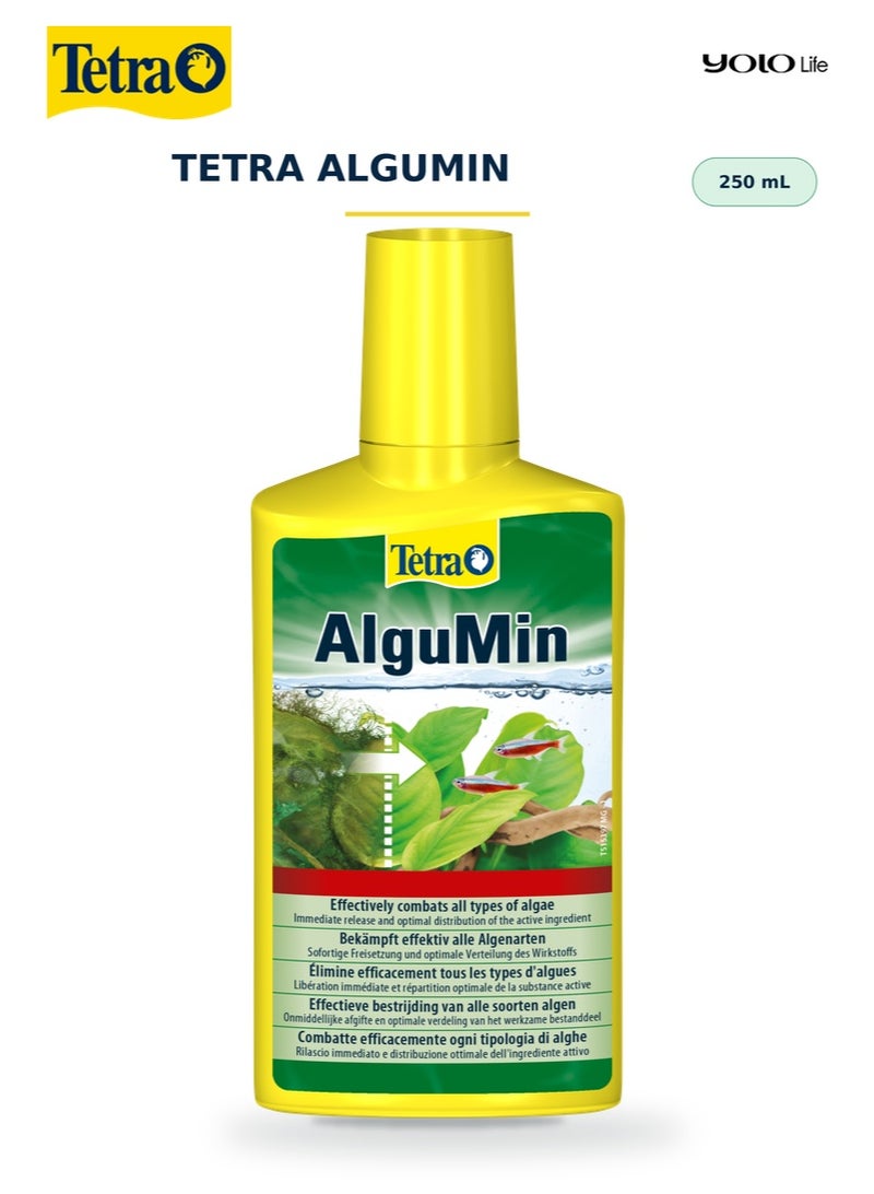 تترا Tetra AlguMin 250 مل، مكافحة الطحالب لأحواض أسماك المياه العذبة، مبيد طحالب سائل سريع المفعول ضد جميع أنواع الطحالب الشائعة، جرعة 5 مل لكل 10 لتر، يعالج 500 لتر، لا يغير لون الماء - Image 1