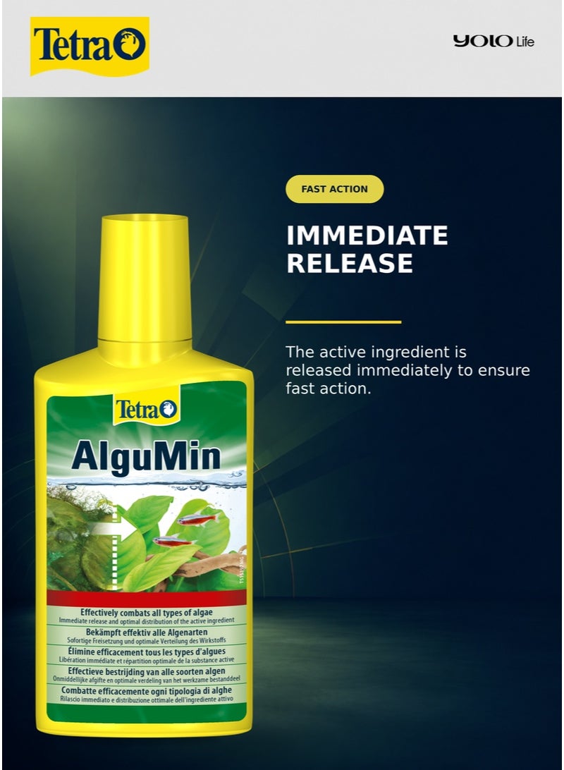 تترا Tetra AlguMin 250 مل، مكافحة الطحالب لأحواض أسماك المياه العذبة، مبيد طحالب سائل سريع المفعول ضد جميع أنواع الطحالب الشائعة، جرعة 5 مل لكل 10 لتر، يعالج 500 لتر، لا يغير لون الماء - Image 5