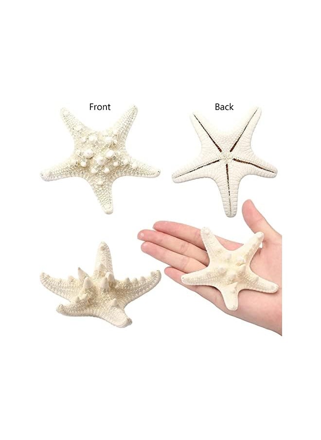The Bros 12 PCS Natural Starfish 2.5-6 Inch Decor for Crafts, Beach Theme Party, Wedding Decoration, Home Wall Decor, Ornaments, Fish Tank  - Image 5