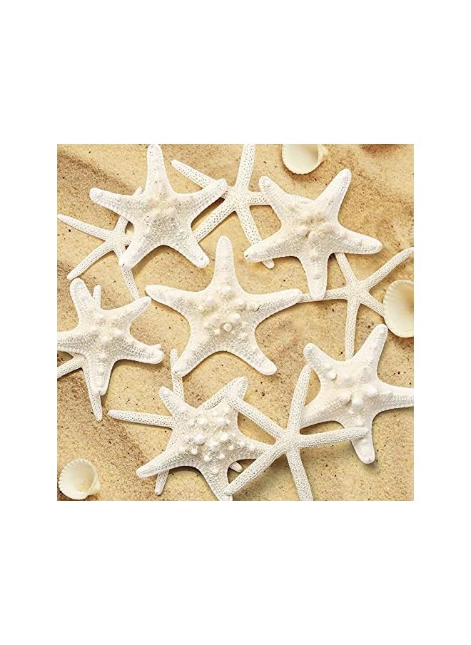 The Bros 12 PCS Natural Starfish 2.5-6 Inch Decor for Crafts, Beach Theme Party, Wedding Decoration, Home Wall Decor, Ornaments, Fish Tank  - Image 2