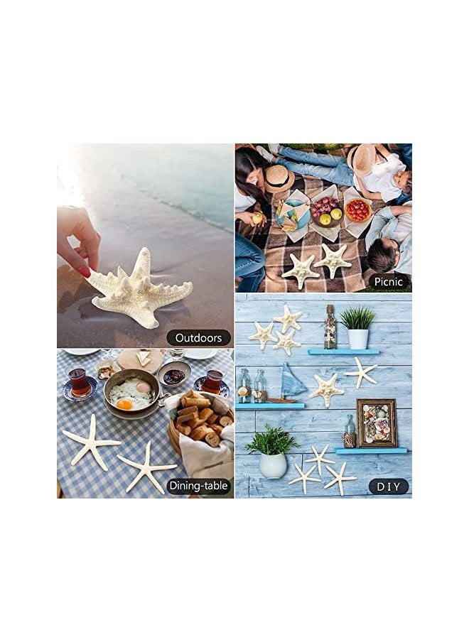 The Bros 12 PCS Natural Starfish 2.5-6 Inch Decor for Crafts, Beach Theme Party, Wedding Decoration, Home Wall Decor, Ornaments, Fish Tank  - Image 3