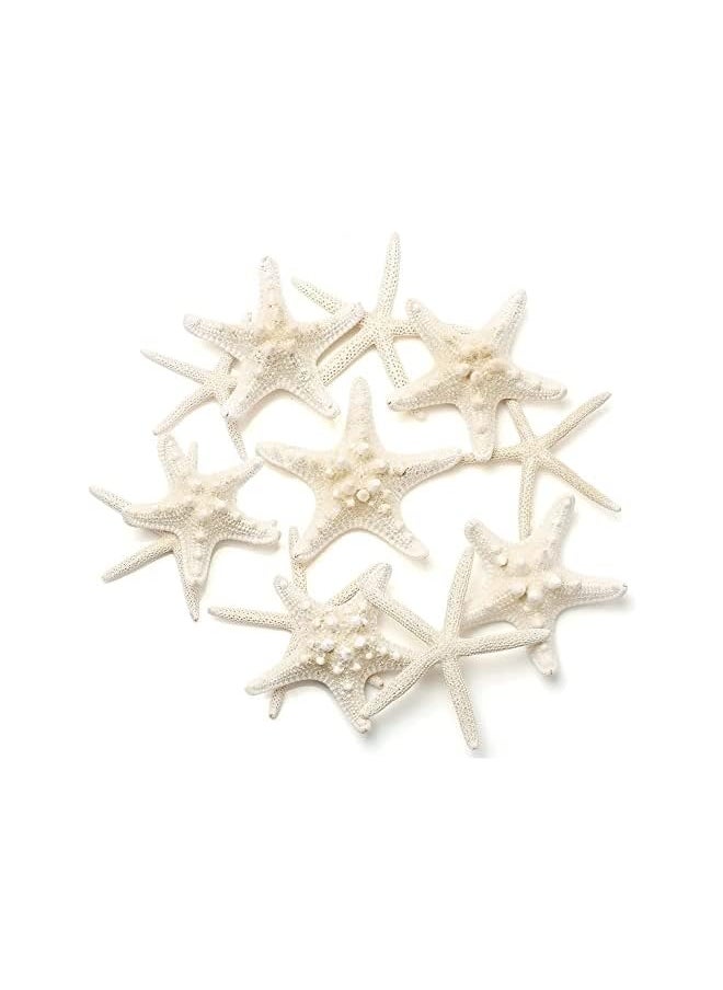 The Bros 12 PCS Natural Starfish 2.5-6 Inch Decor for Crafts, Beach Theme Party, Wedding Decoration, Home Wall Decor, Ornaments, Fish Tank  - Image 4