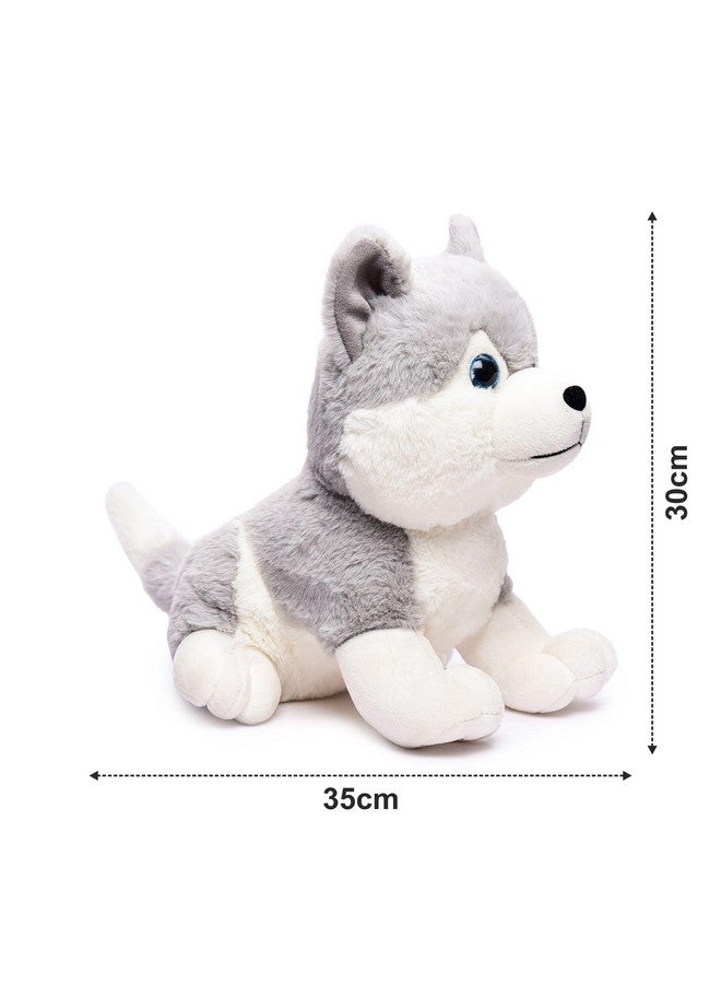 Webby Plush Husky Dog Stuffed Animal Puppy Soft Toy, Adorable Gifts For Kids And Adult, Glitter Eyes Soft Toy, 35Cm (Grey) - Image 5