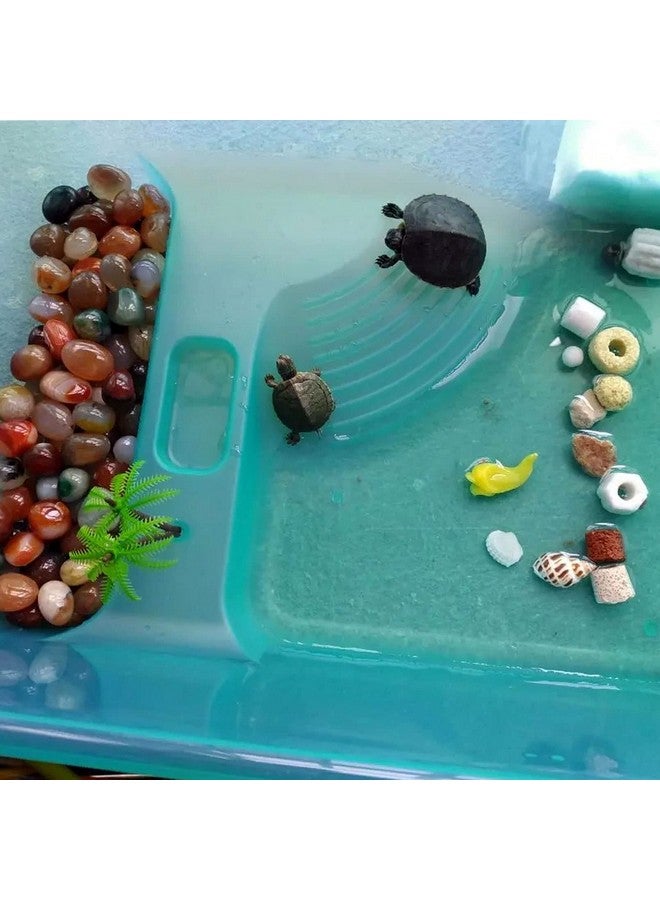 kathson Turtle Tank Aquarium, Turtle Habitat Reptile Plastic Terrarium Safe Durable, Turtle Tank with Lid Prevent Tortoise from Climbing Escaping (Small) - Image 2