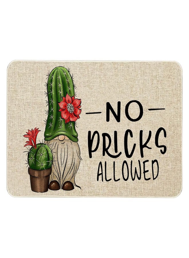 Roszwtit Spring Summer Door Mat 30 X 17 Inch No Picks Allowed Cactus Gnome Doormat Indoor Outdoor Entrance Funny Floor Mat Non Slip Summer Decor Rubber Welcome Mats - Image 1
