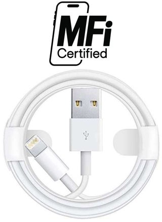Apple iPhone USB To Lightning Data Sync And Charging Cable White/Silver - pzsku/Z26D0C88D4984808E1717Z/45/_/1738267190/92efcf84-fb13-4086-90f4-2530d26ab37b